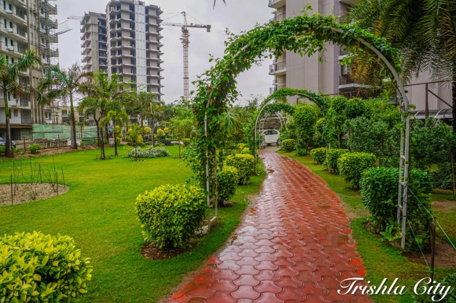 Trishla city